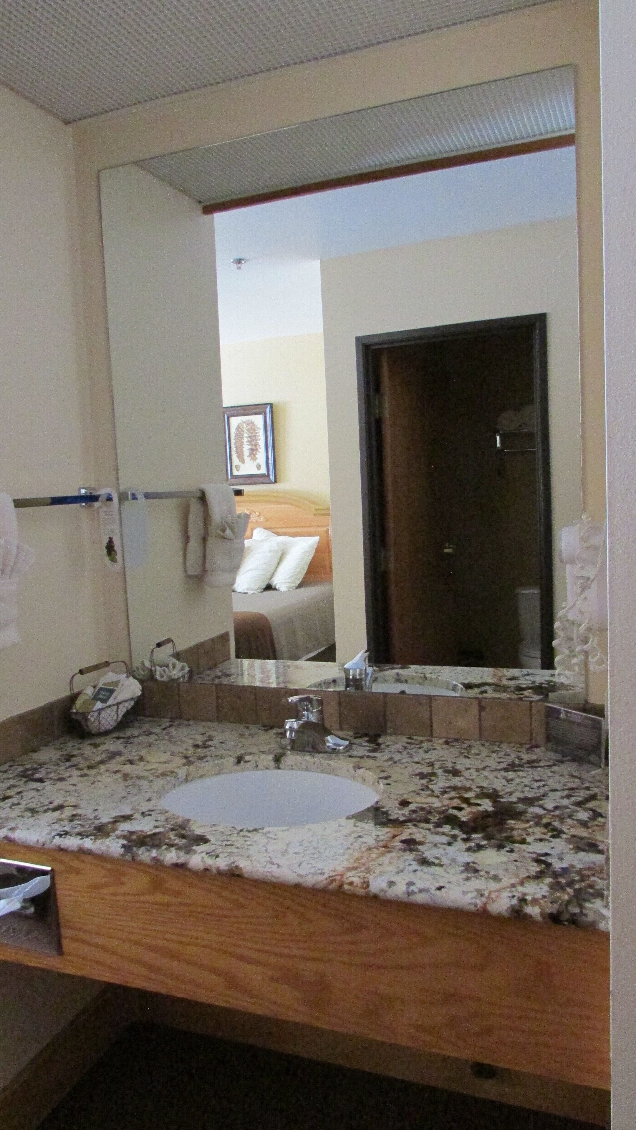 Une salle de bain avec un grand miroir, un lavabo et un espace douche.