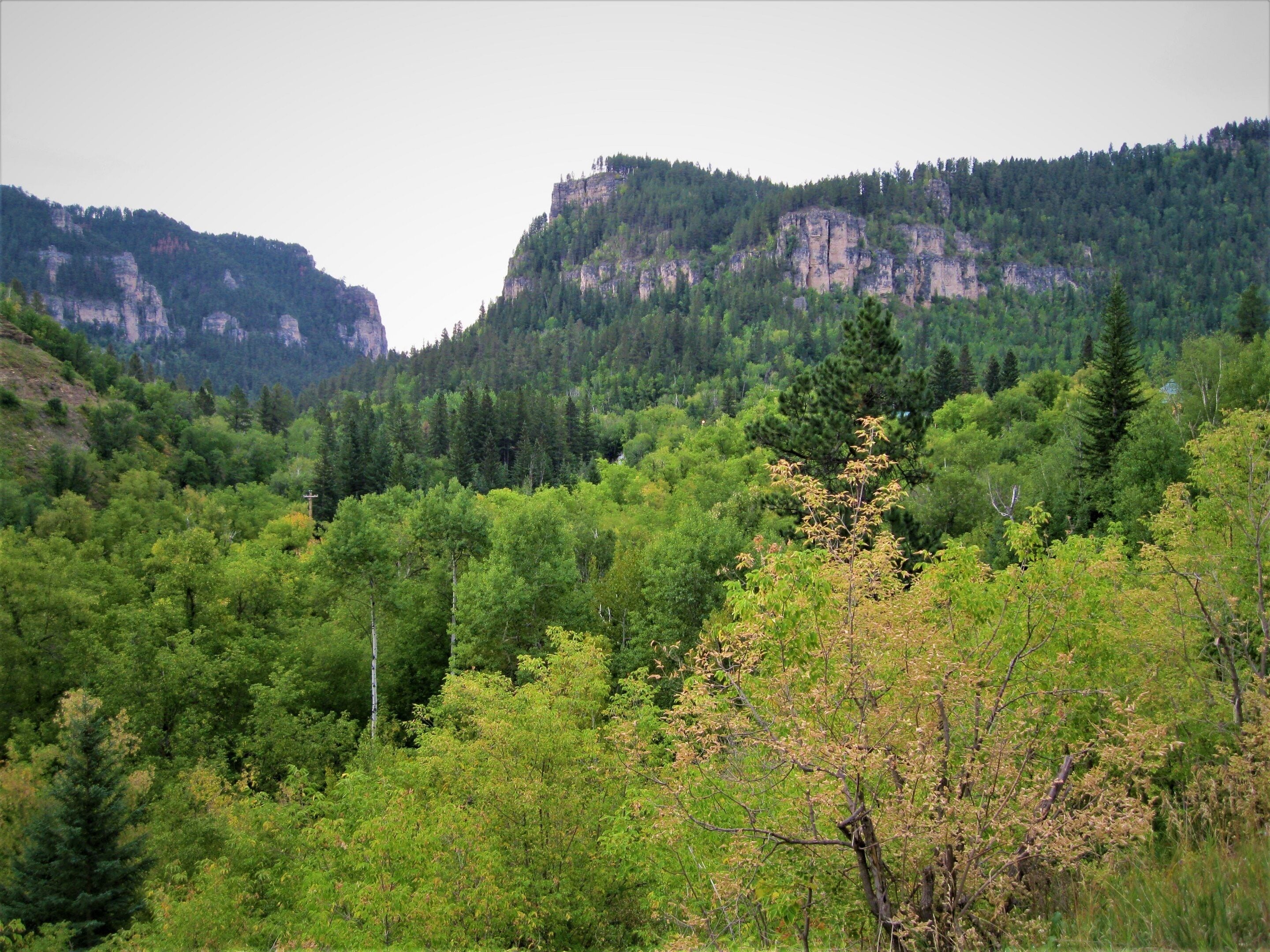 Un paysage montagneux caractérisé par une forêt dense et de hautes falaises rocheuses.