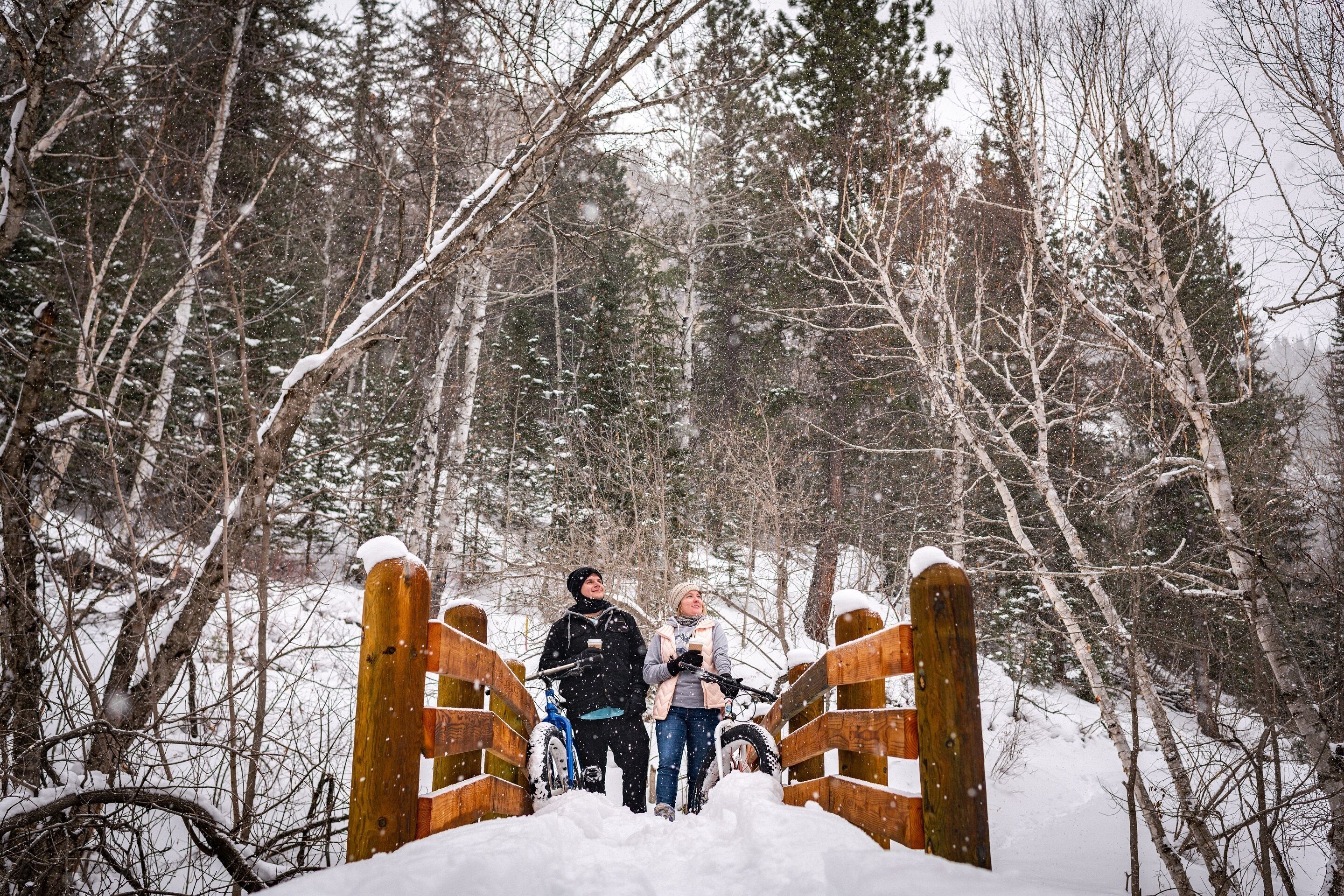 A wooden bridge in a snowy forest with snow-covered trees and a clear sky.