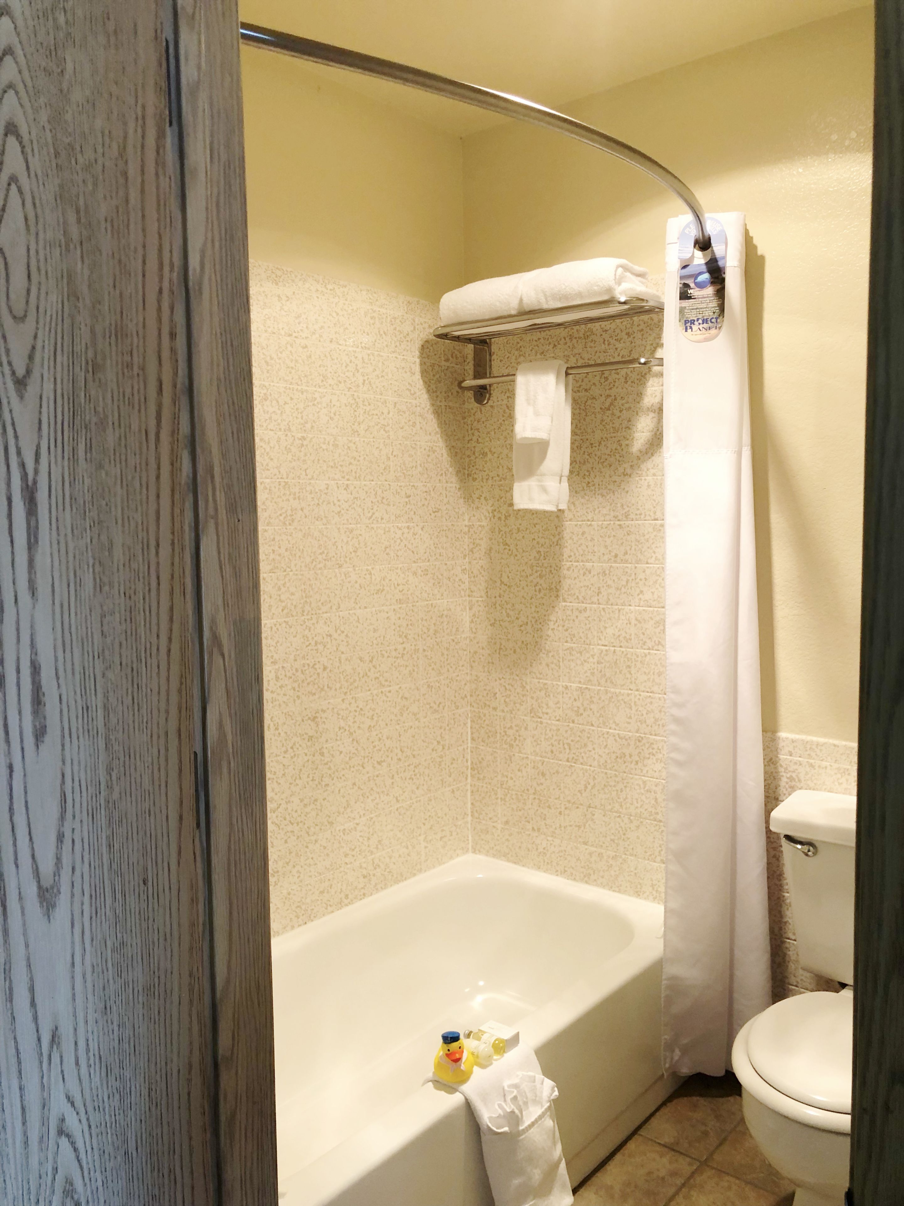 A bathroom with a bathtub, toilet, and shower curtain.