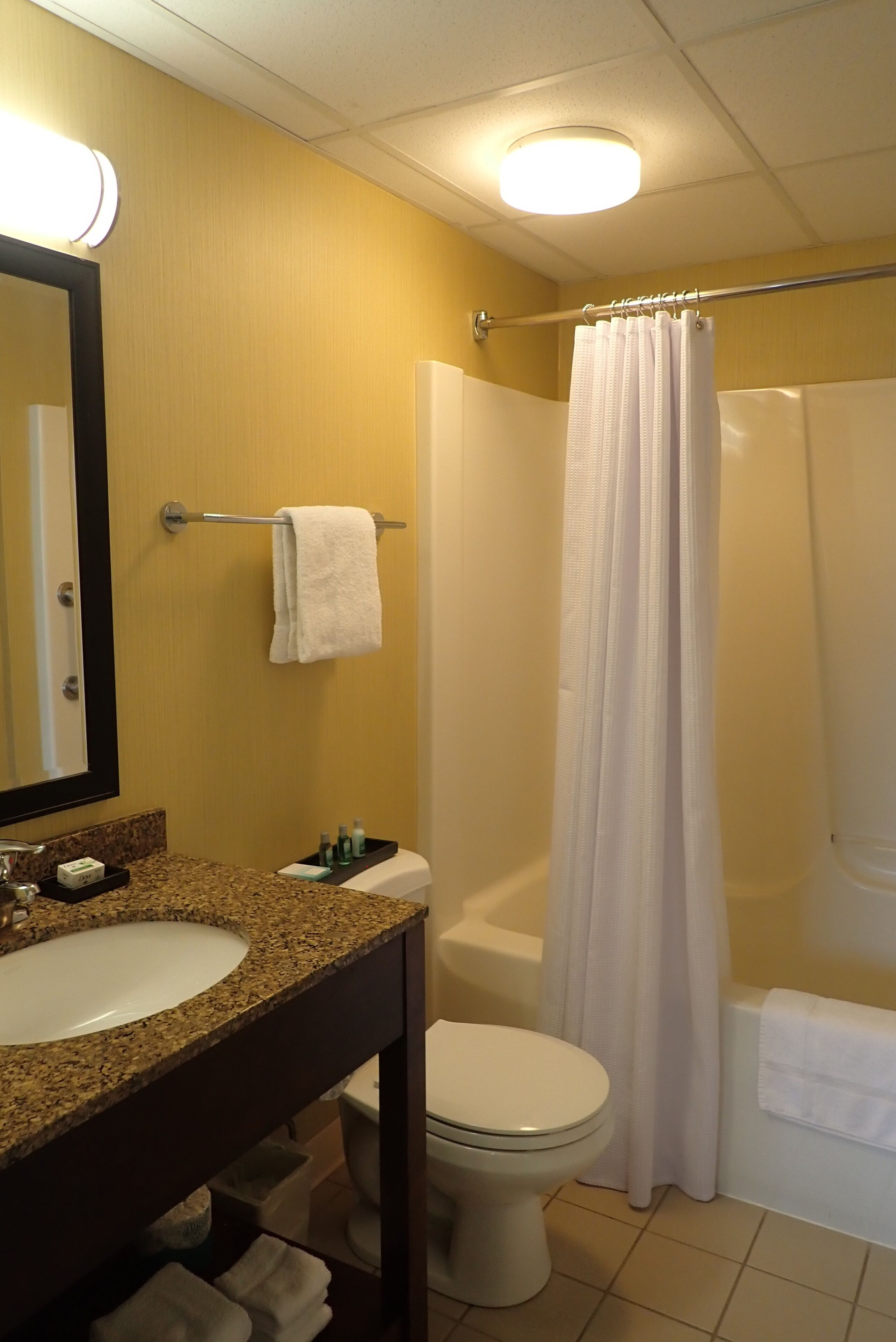 superior suite, non smoking | bathroom | combined shower/bathtub, free toiletries, hair dryer, towels