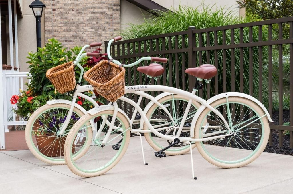 Een klassieke fiets met rieten manden, geparkeerd voor een hek met begroeiing.