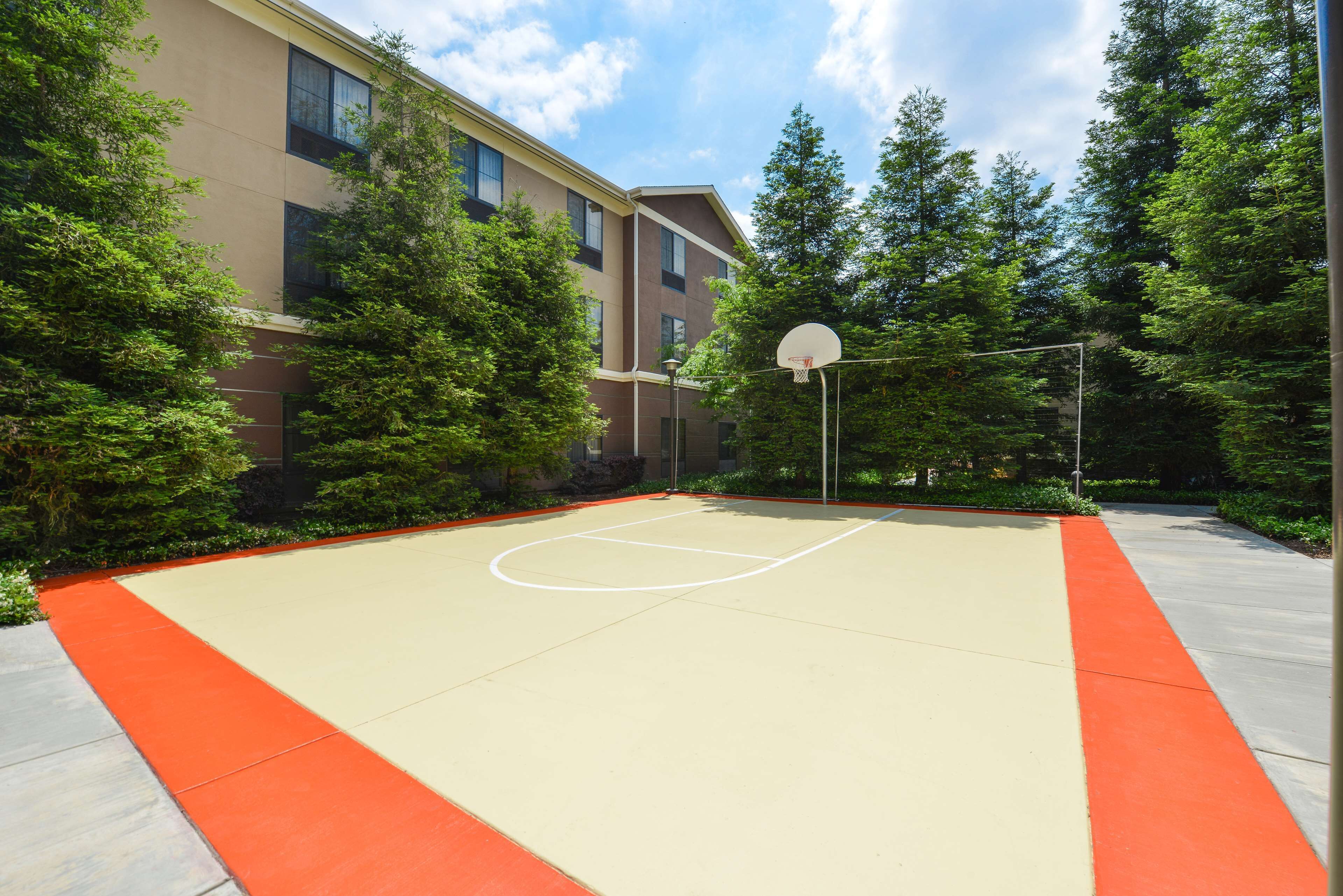 sports court