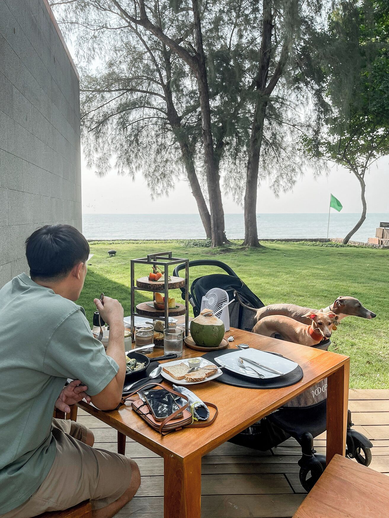 A dining table with food and drinks, two dogs, and a view of the sea.