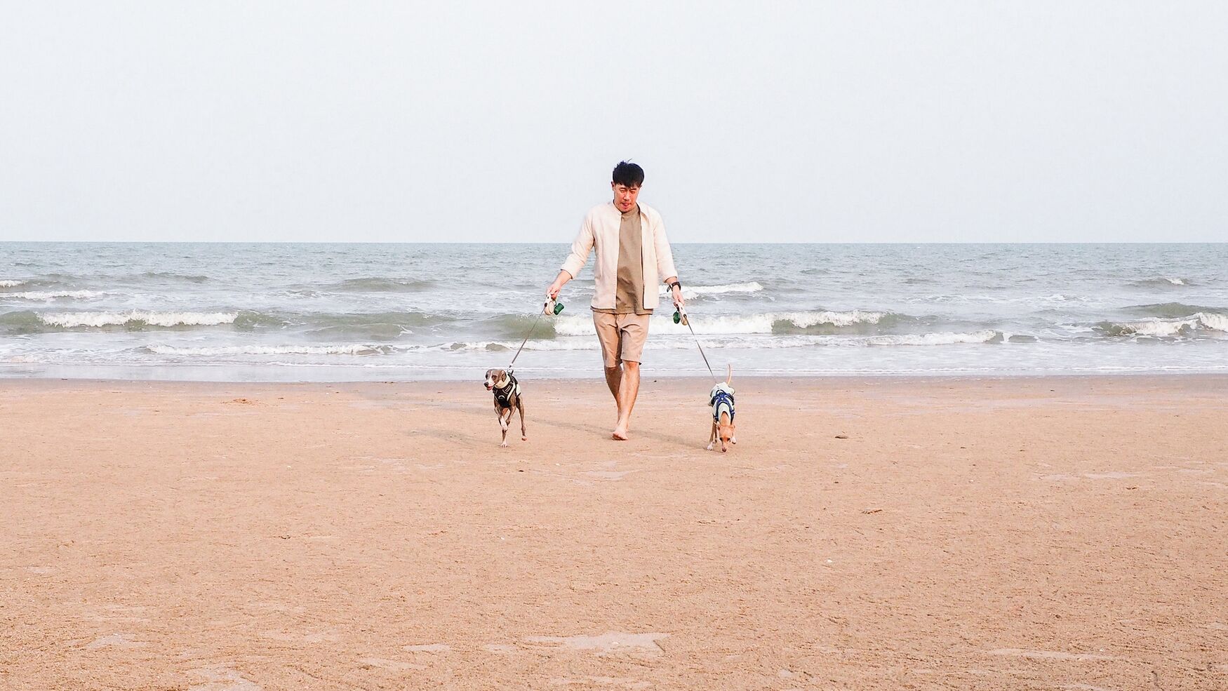 Une personne promène deux chiens sur une plage de sable, avec l’océan en arrière-plan.