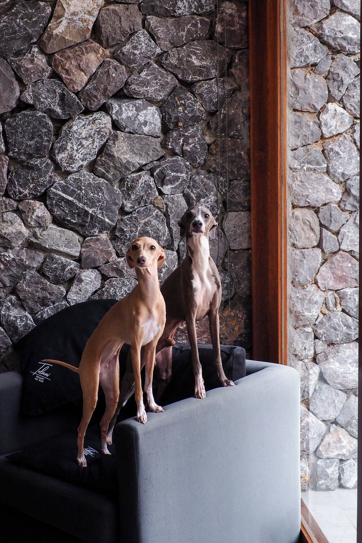 deluxe pool villa | 1 bedroom, minibar, in-room safe, iron/ironing board