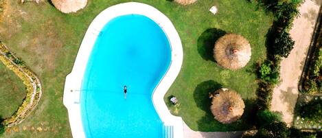 Vista aérea de una piscina rodeada de césped, palmeras y sombrillas de paja.