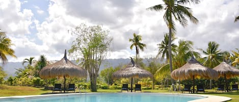 Outdoor pool, pool umbrellas, sun loungers