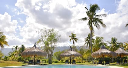 Badian Island Wellness Resort