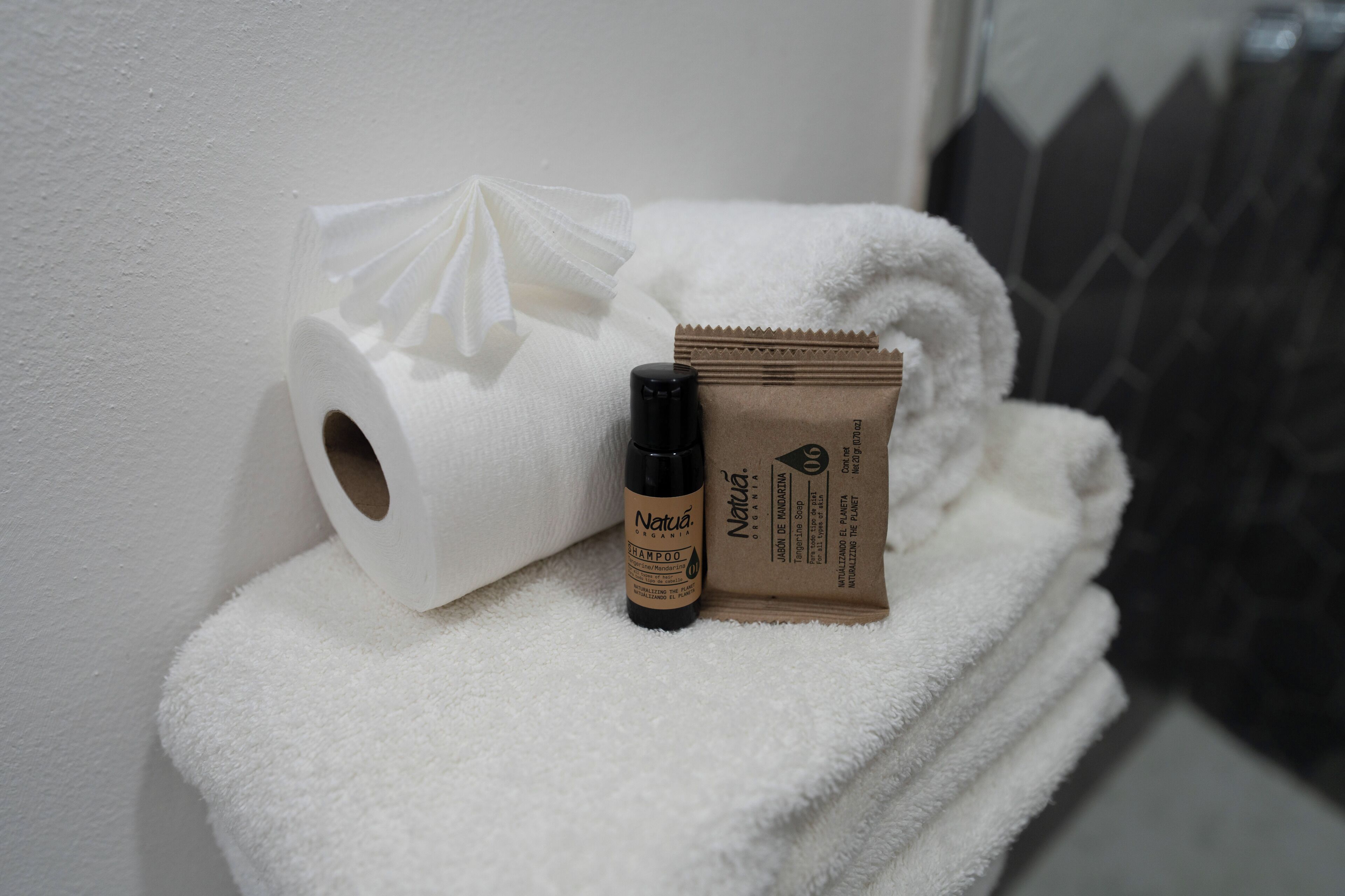 Foto - Hotel Encino Malecón Centro Puerto Vallarta