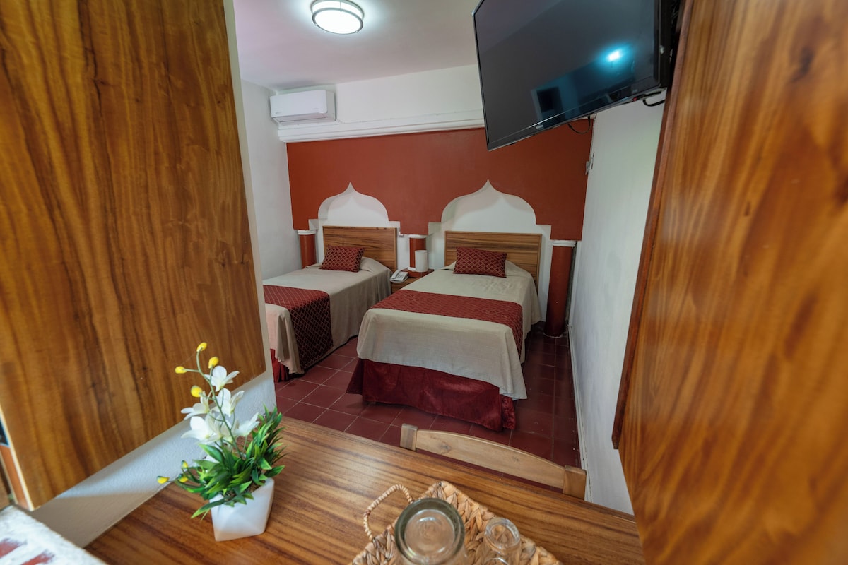 A hotel room with two beds, a television mounted on the wall, and a small table with a plant.