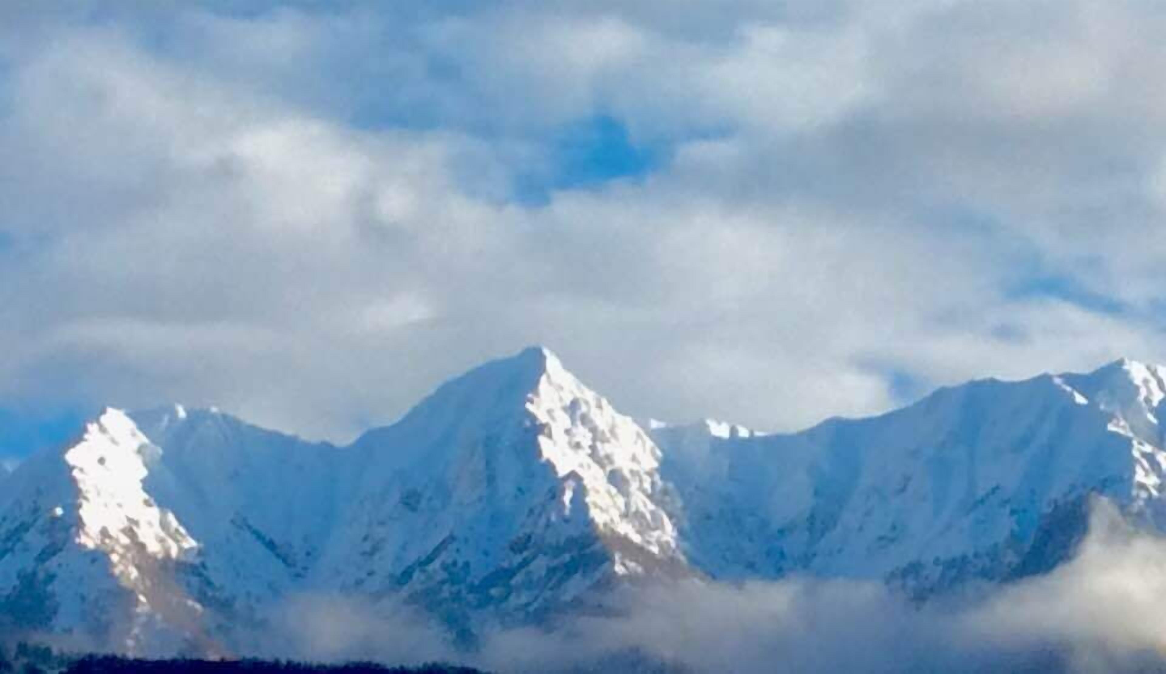 standard quadruple room | mountain view