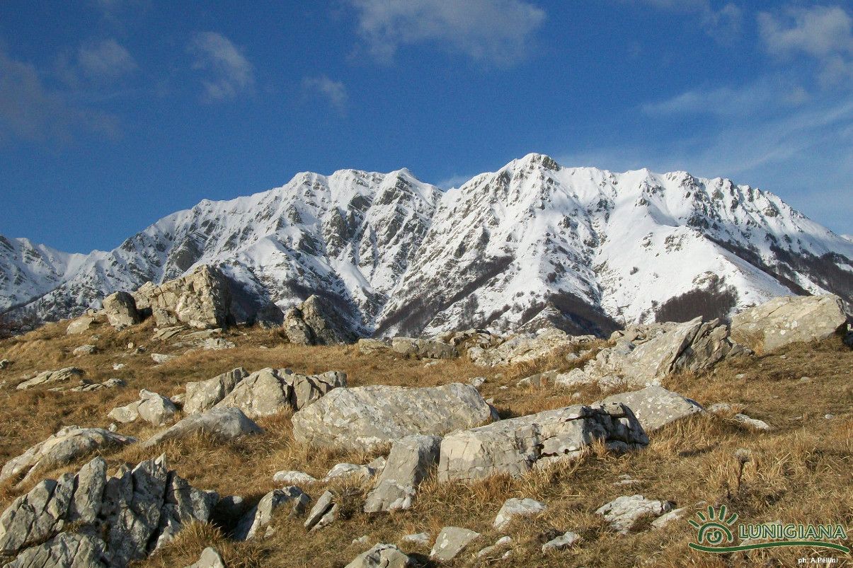 standard double room single use | mountain view