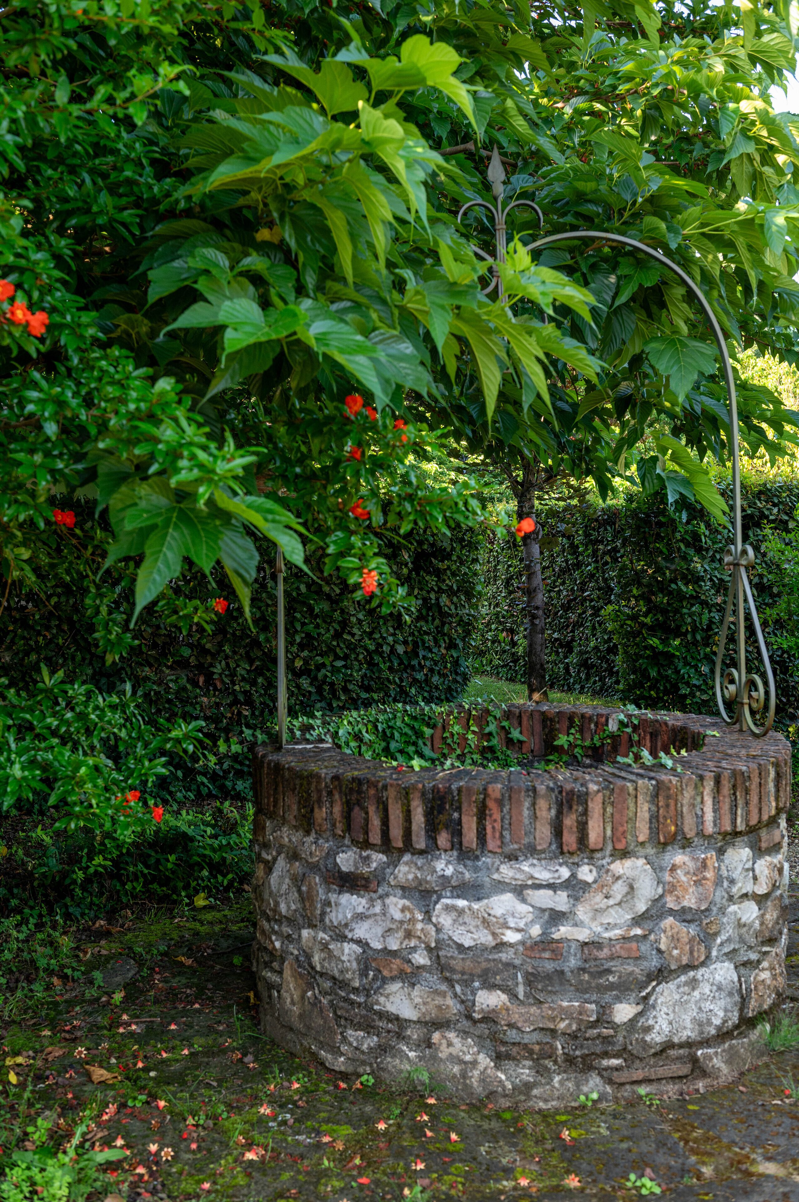 Una jardinera de piedra con un árbol y flores rojas, rodeada de abundante follaje.