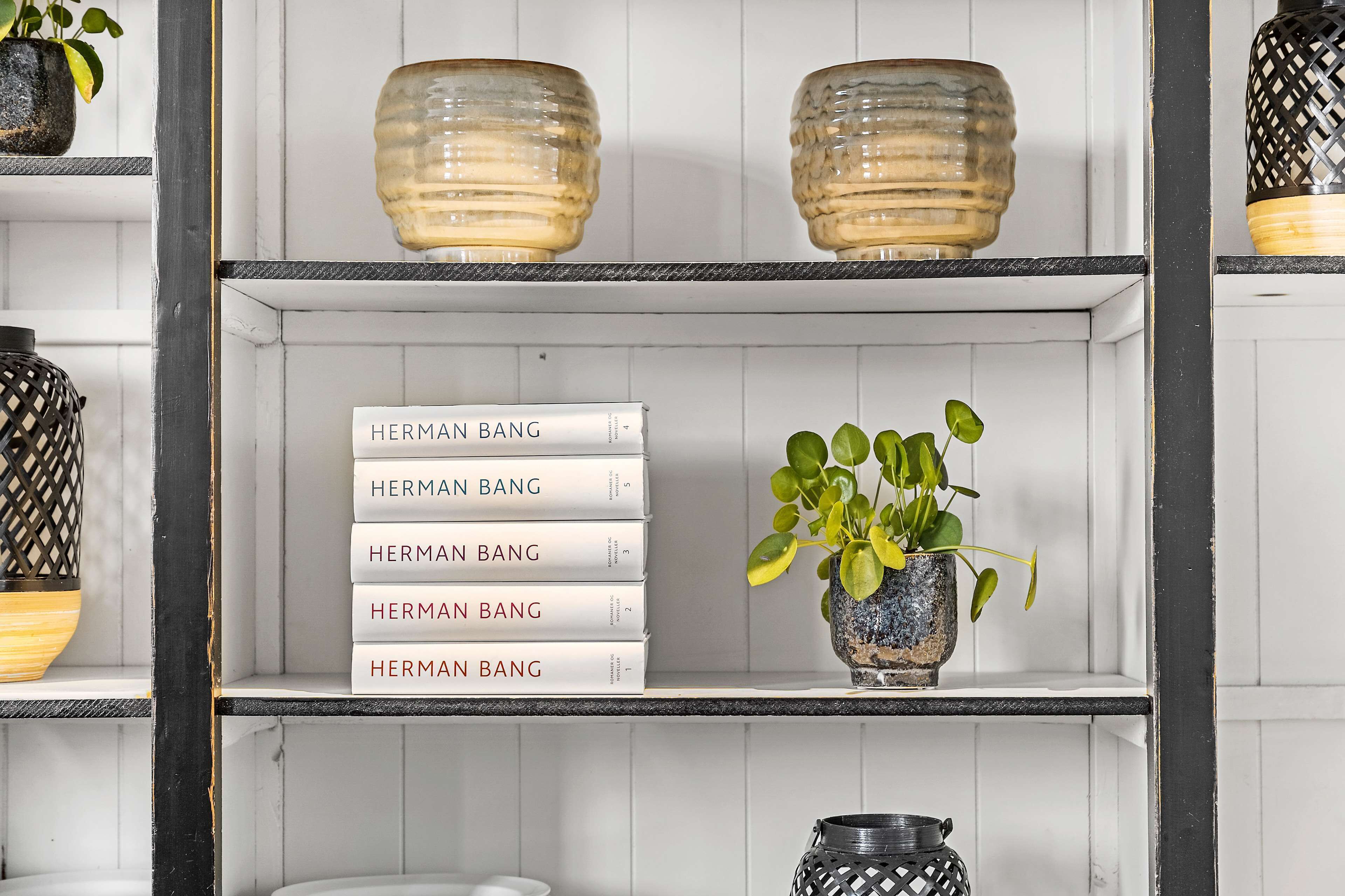 En hylla med böcker som har titeln ”Herman Bang” och en krukväxt.