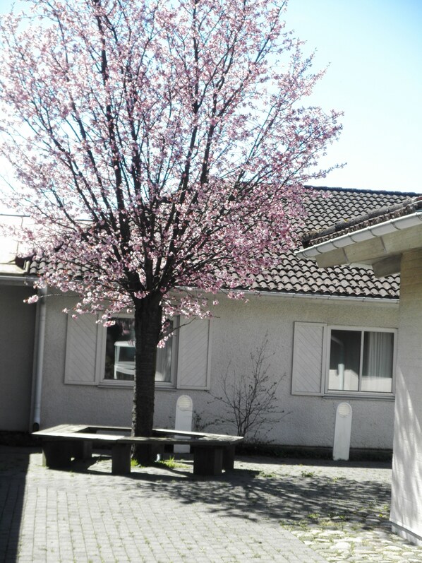 A building with a tiled roof and a tree with pink blossoms in front.