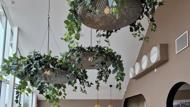 Un espace repas moderne avec des tables rondes, des chaises et des suspensions décoratives contenant des plantes vertes.