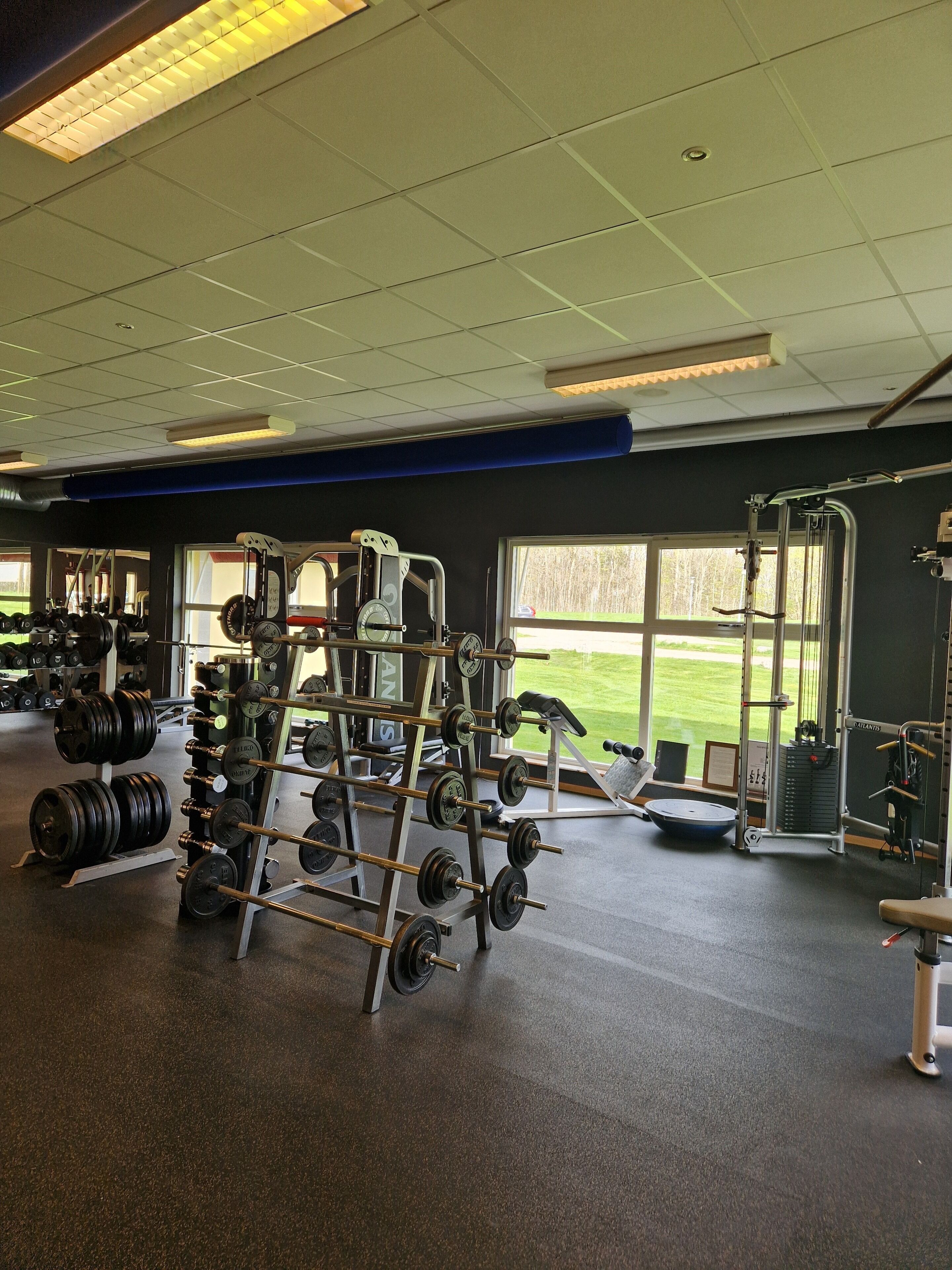 A gym with weightlifting equipment, a bench, and a view of a grassy field through large windows.