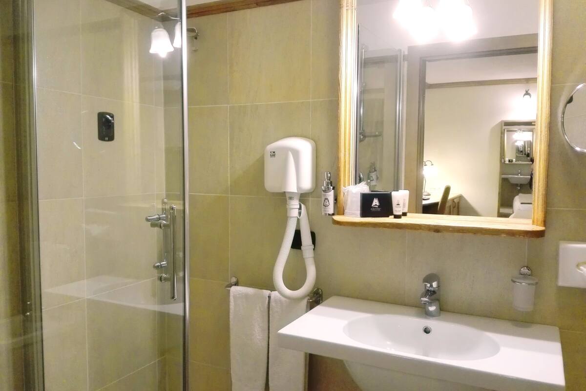 shower, free toiletries, hair dryer, bidet