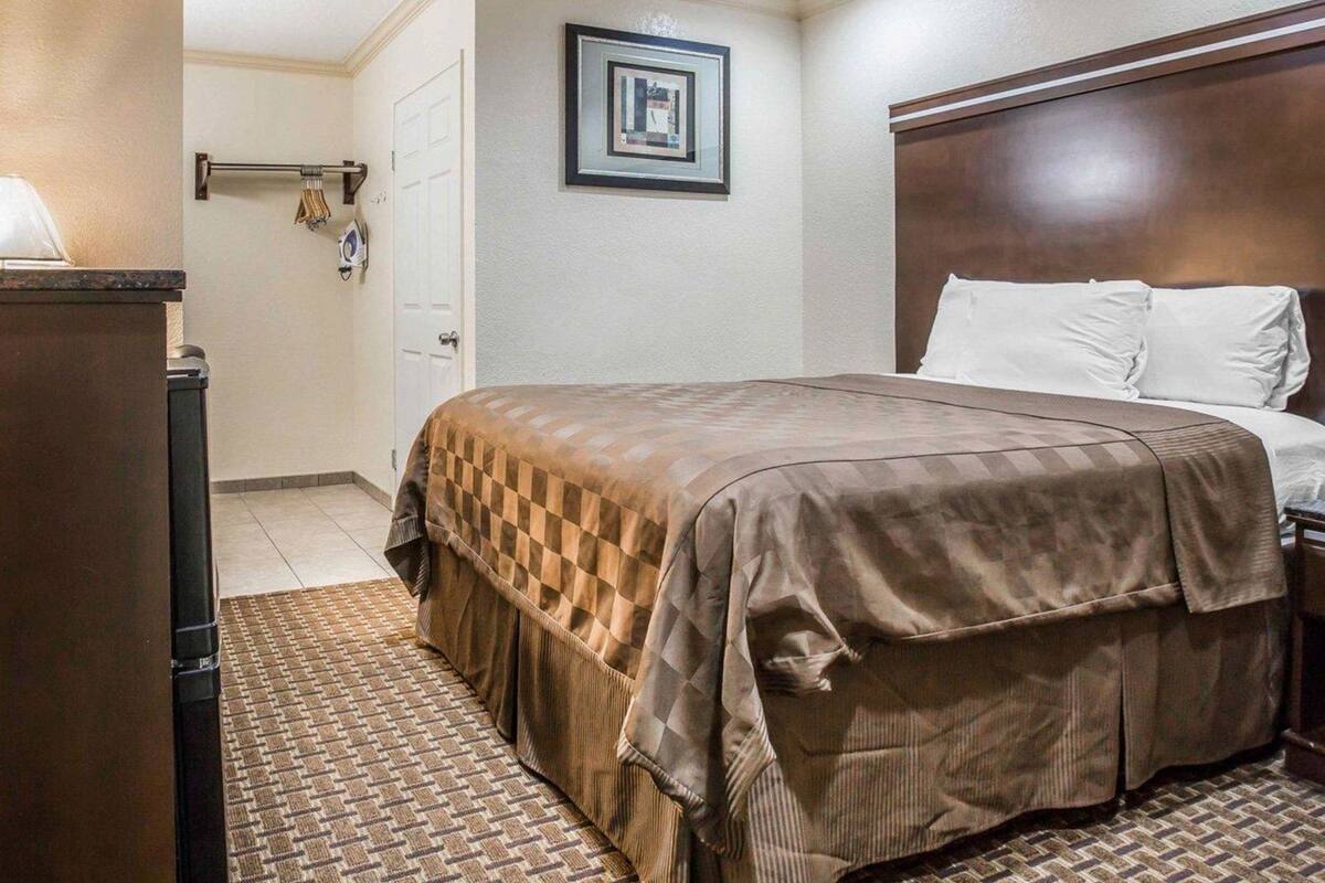 Habitación de hotel con una cama, un tocador, un cuadro en la pared y una puerta.