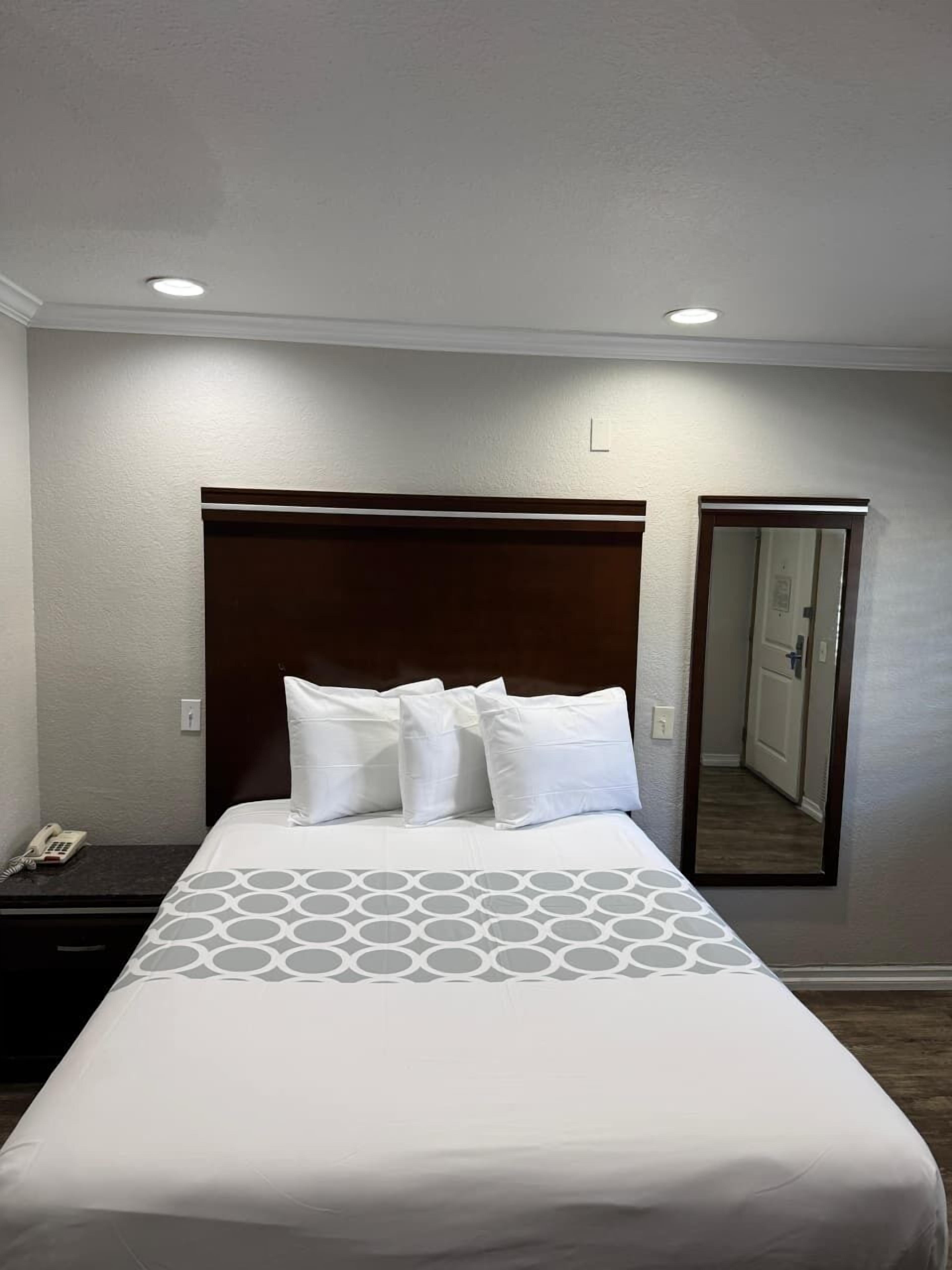 Standard Room, 1 Queen Bed, Accessible Roll-In Shower, Non Smoking | Desk, laptop workspace, blackout drapes, iron/ironing board