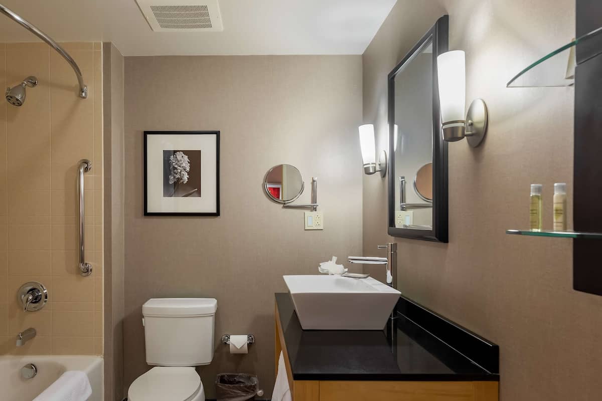 combined shower/bathtub, free toiletries, hair dryer, towels