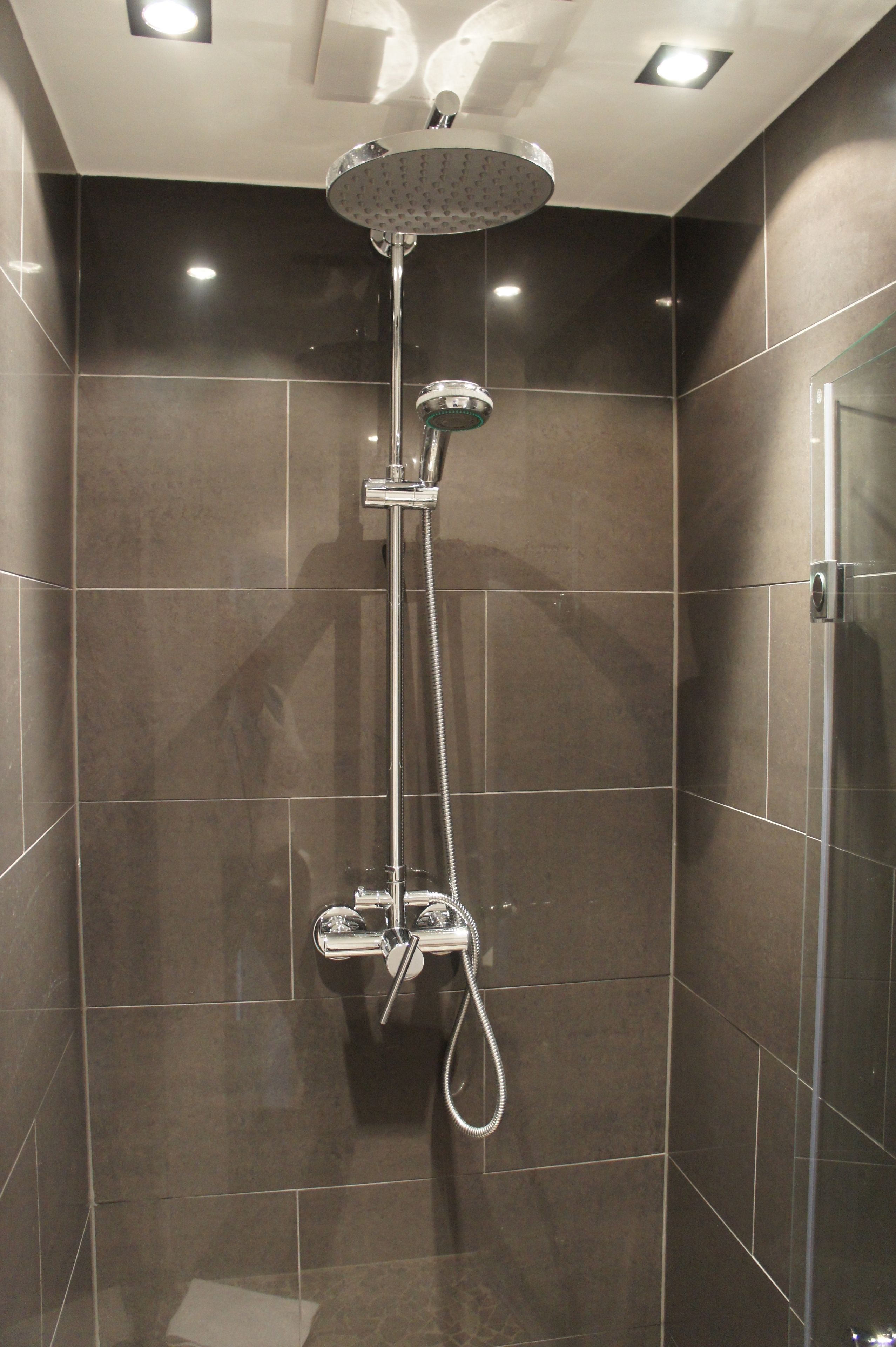 business double room | bathroom shower