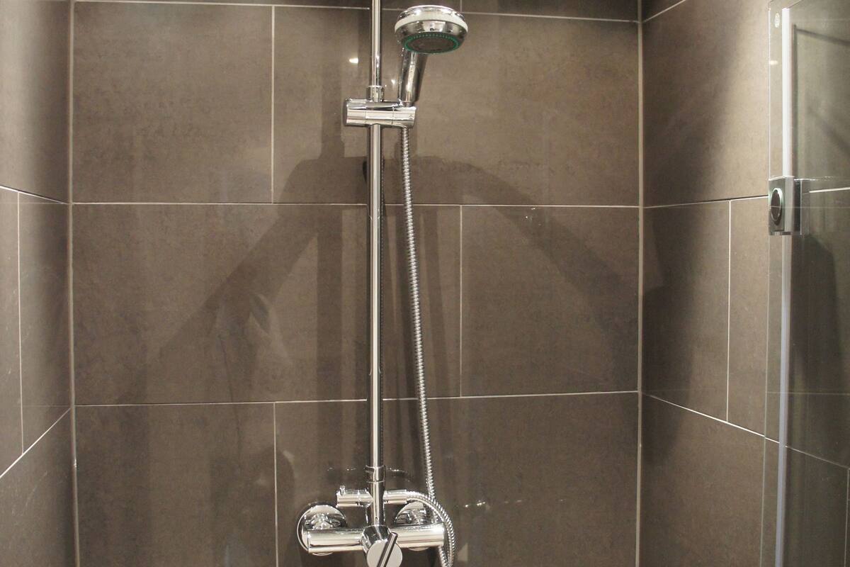 business double room | bathroom shower