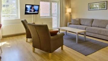 Flat-screen TV