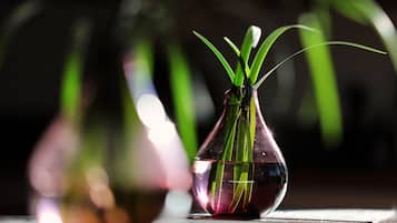 Een glazen vaas met water en groene planten op een spiegelend oppervlak.