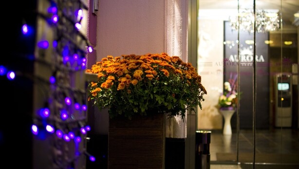 A potted plant with orange flowers in front of a building entrance with a glass door and a sign that reads "AURORA". - Aurora Premier Hotel (Kharkiv)