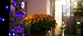 Aurora Premier Hotel