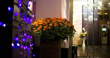 Aurora Premier Hotel