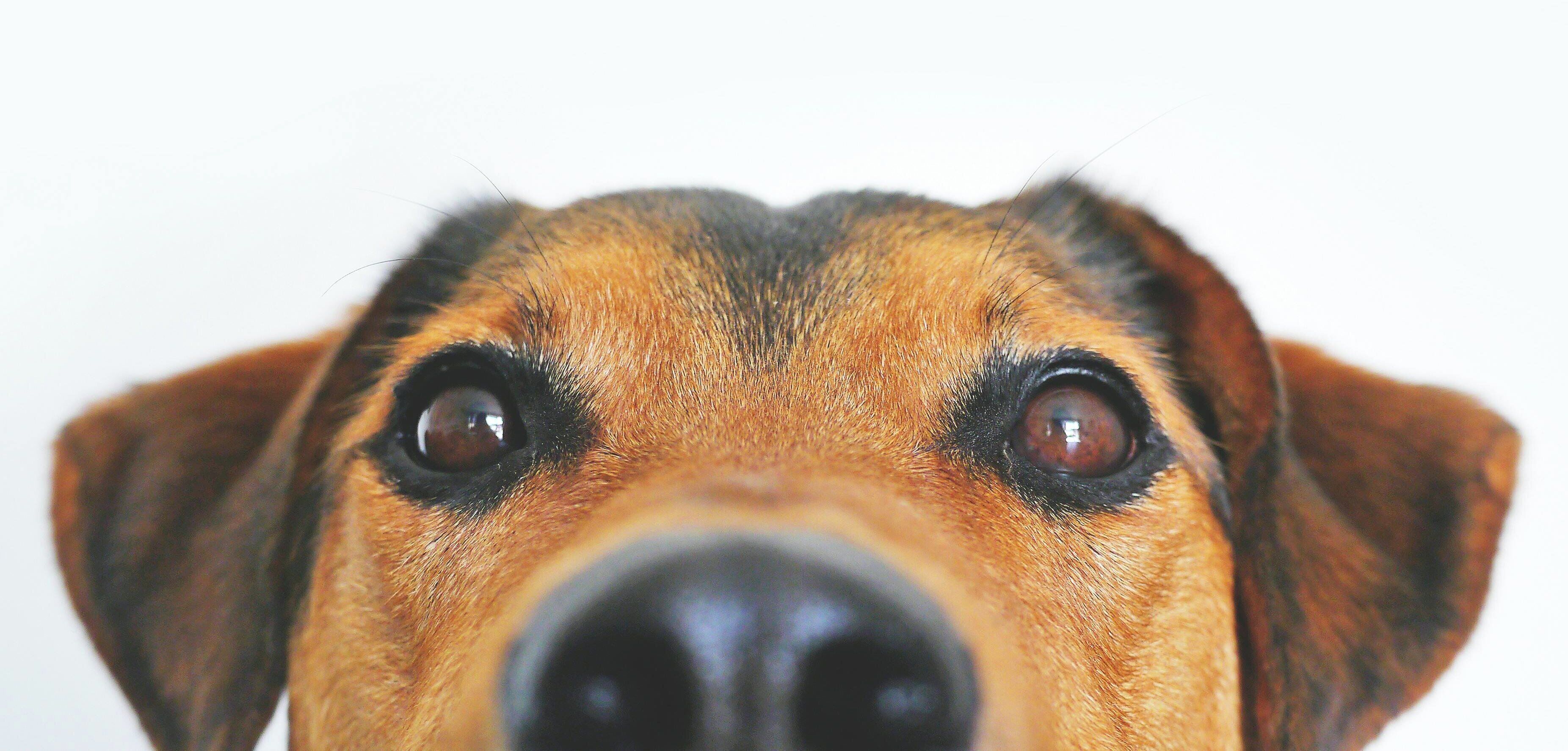 Foto - Garner Hotel Cologne - Engelbertz by IHG