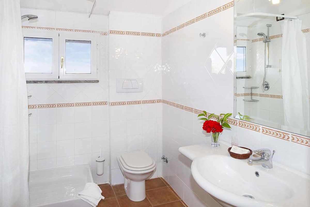 combined shower/bathtub, free toiletries, hair dryer, slippers