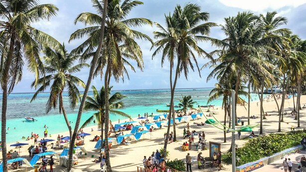 A beach with palm trees, a sandy shore, and a clear blue sea.