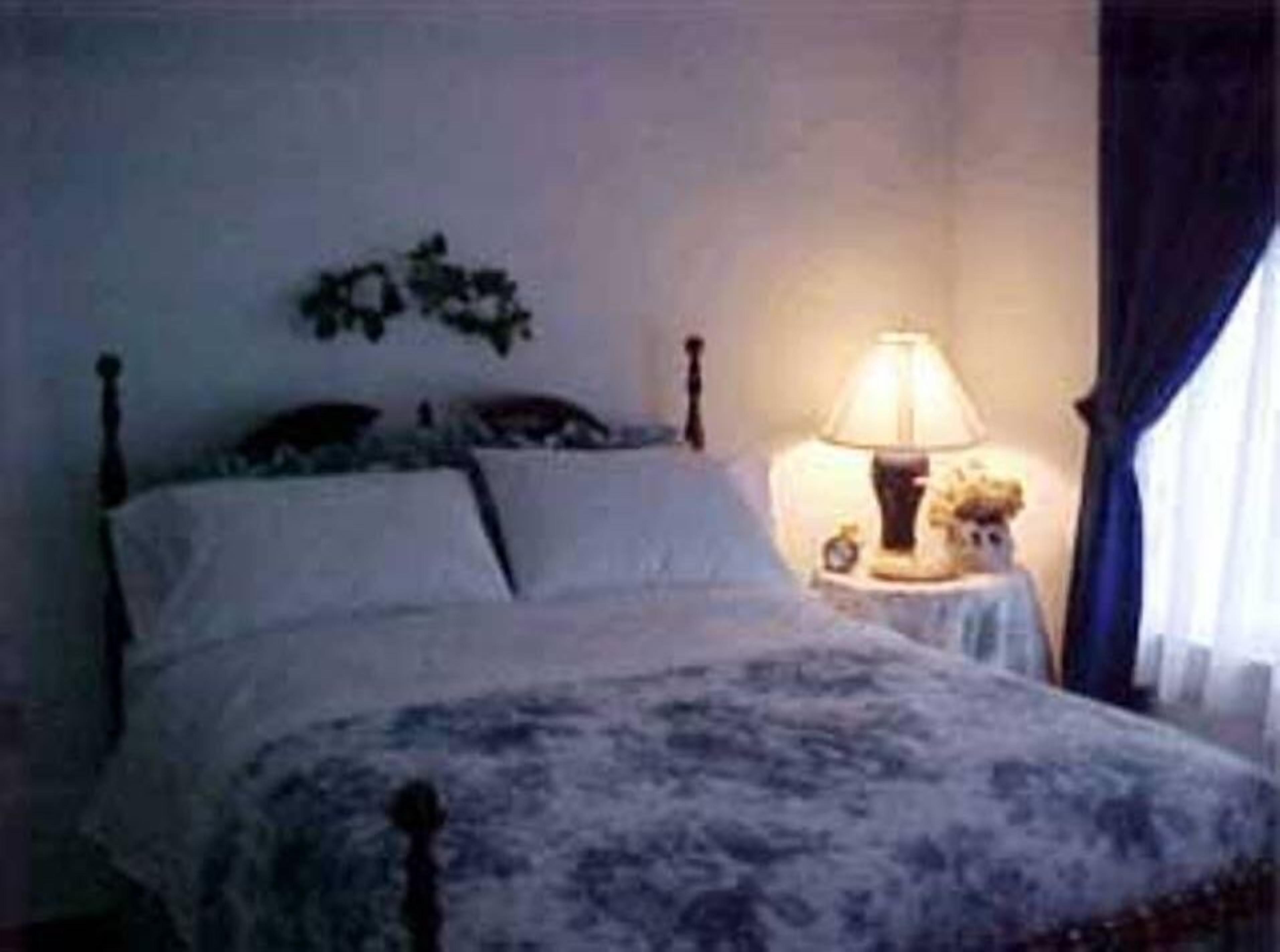 The Confederate House — photo 10