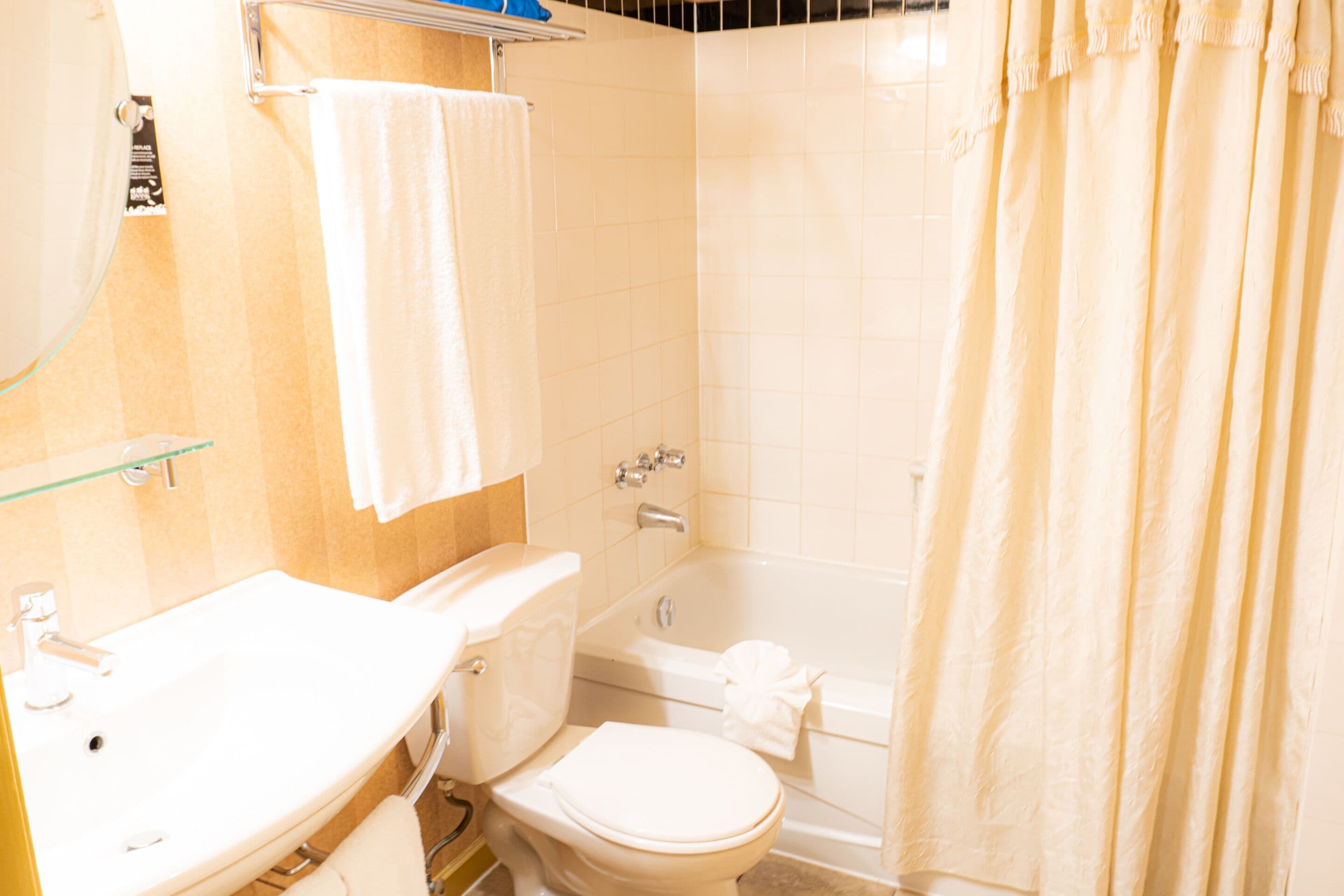 combined shower/bathtub, free toiletries, hair dryer, towels