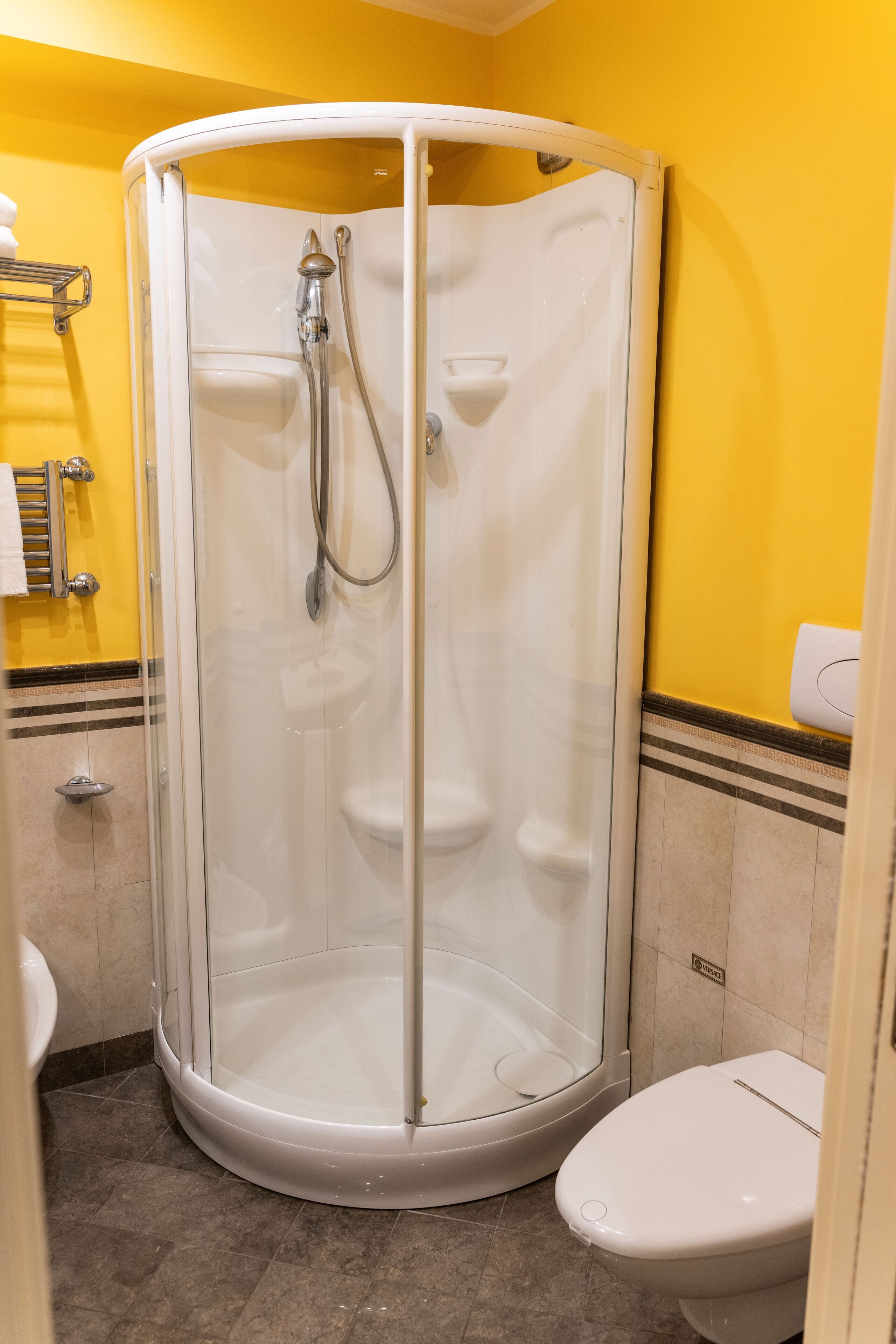A corner shower enclosure with a glass door, a toilet, and a towel rack.