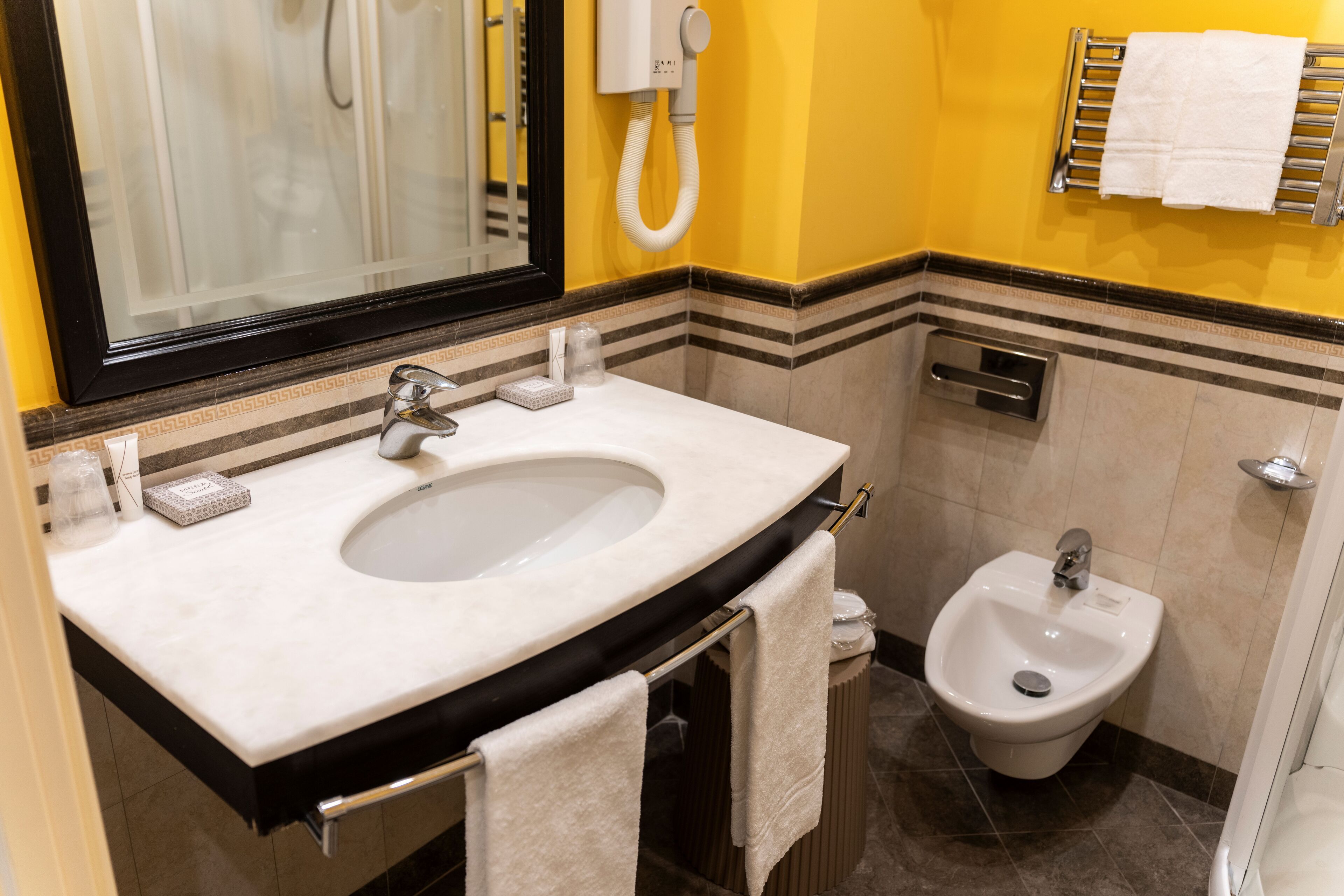 shower, hair dryer, bidet, towels