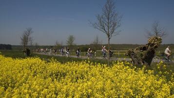 Un grupo de personas pedaleando por un sendero entre un campo de flores amarillas.
