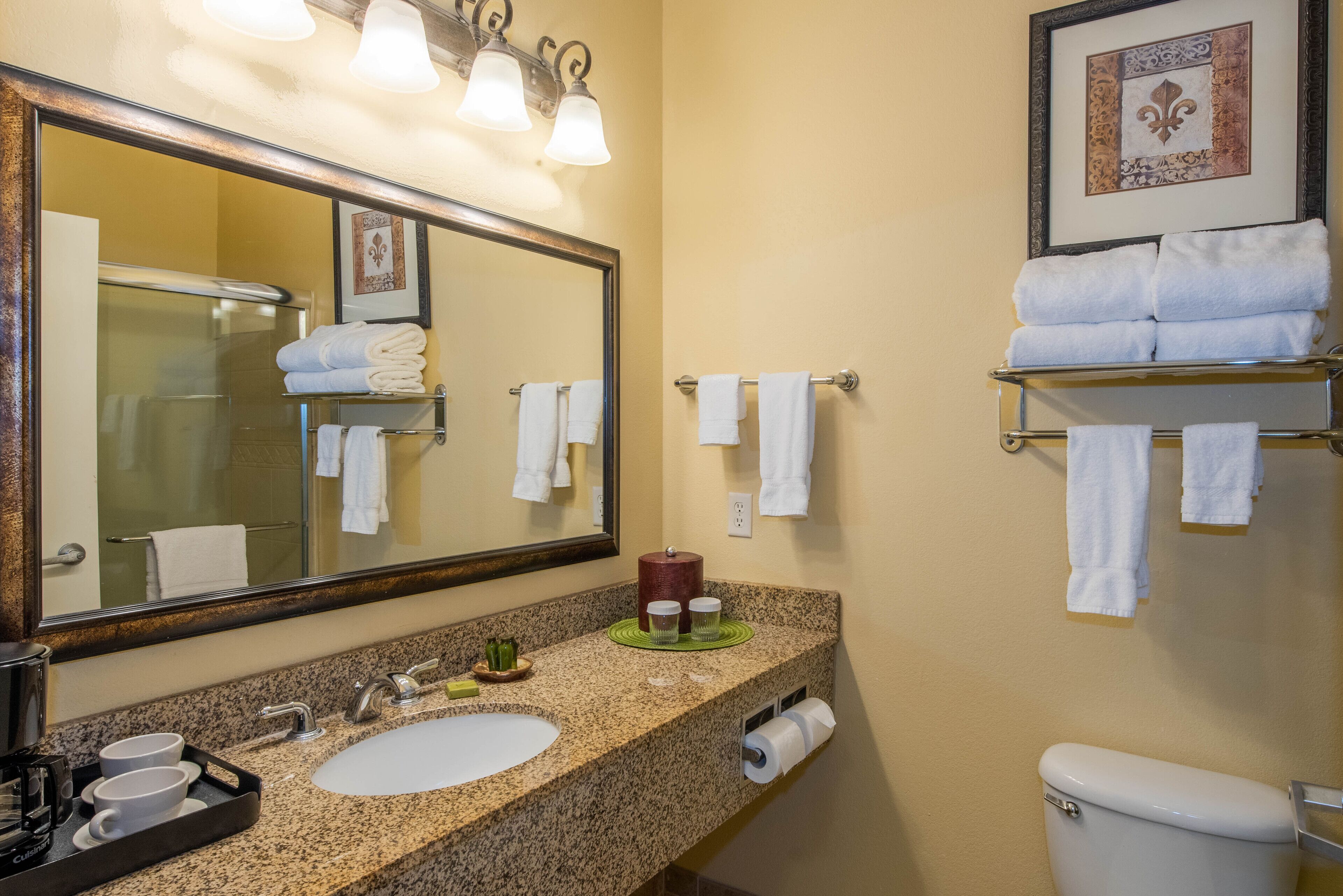 A bathroom with a granite countertop, two sinks, a large mirror, a towel rack, and a framed picture on the wall.