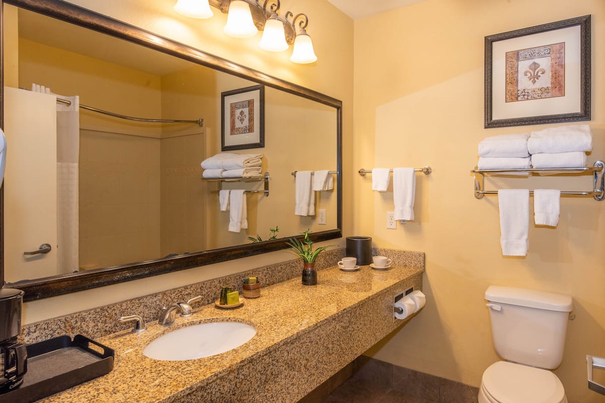 combined shower/bathtub, rainfall showerhead, free toiletries