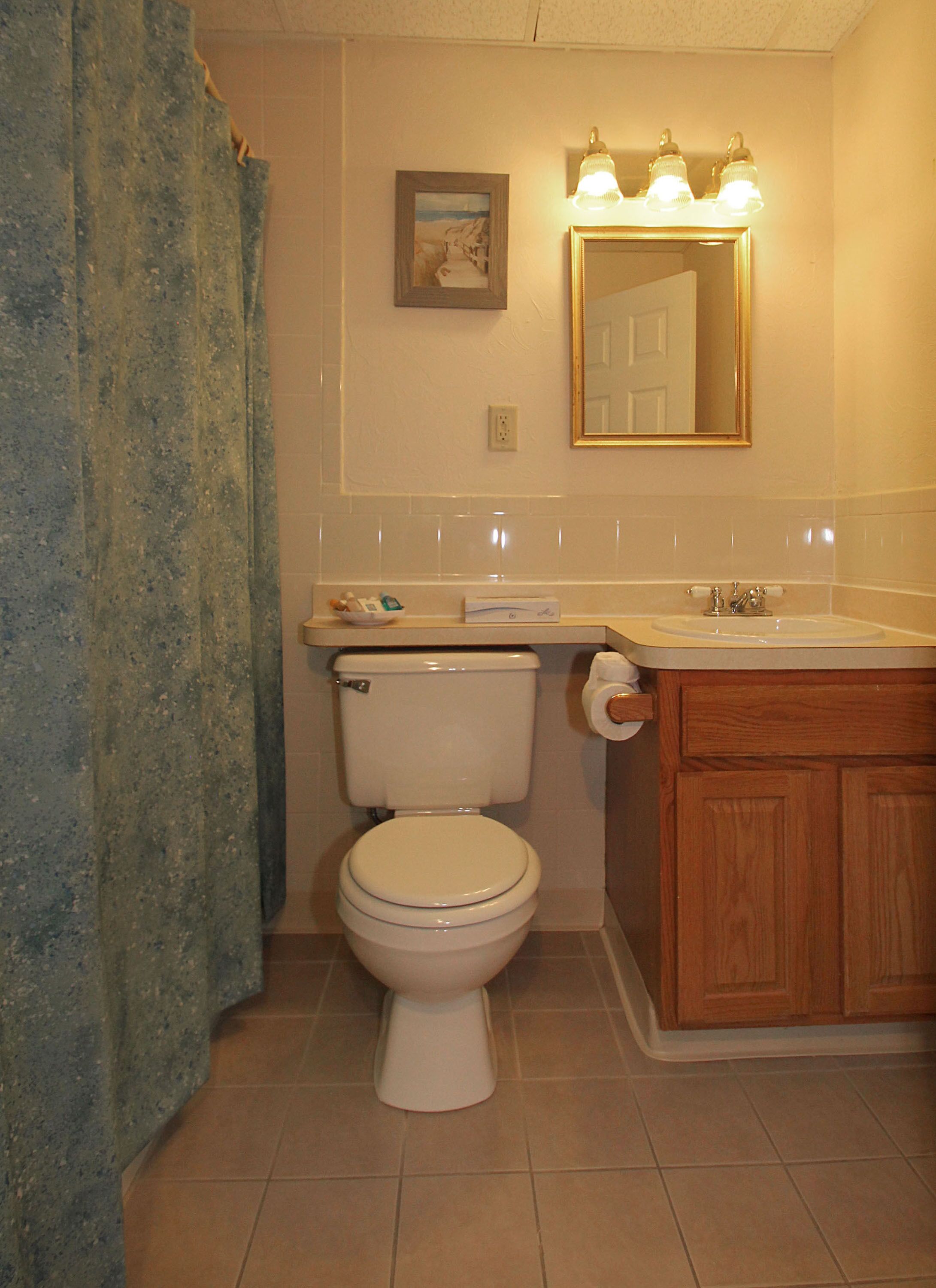 combined shower/bathtub, free toiletries, hair dryer, towels