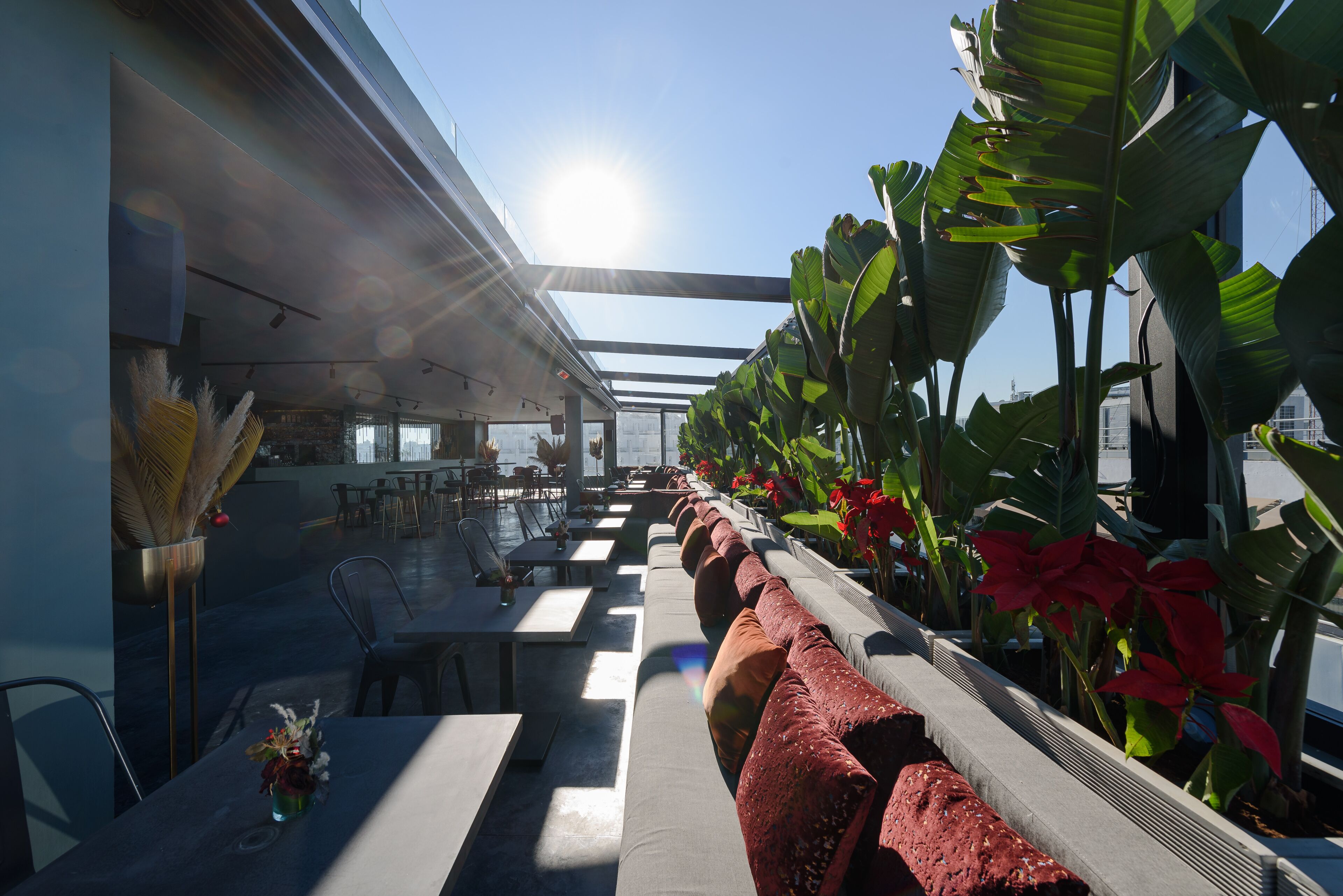 Photo - JM Suites Hotel Eco-Friendly Casablanca