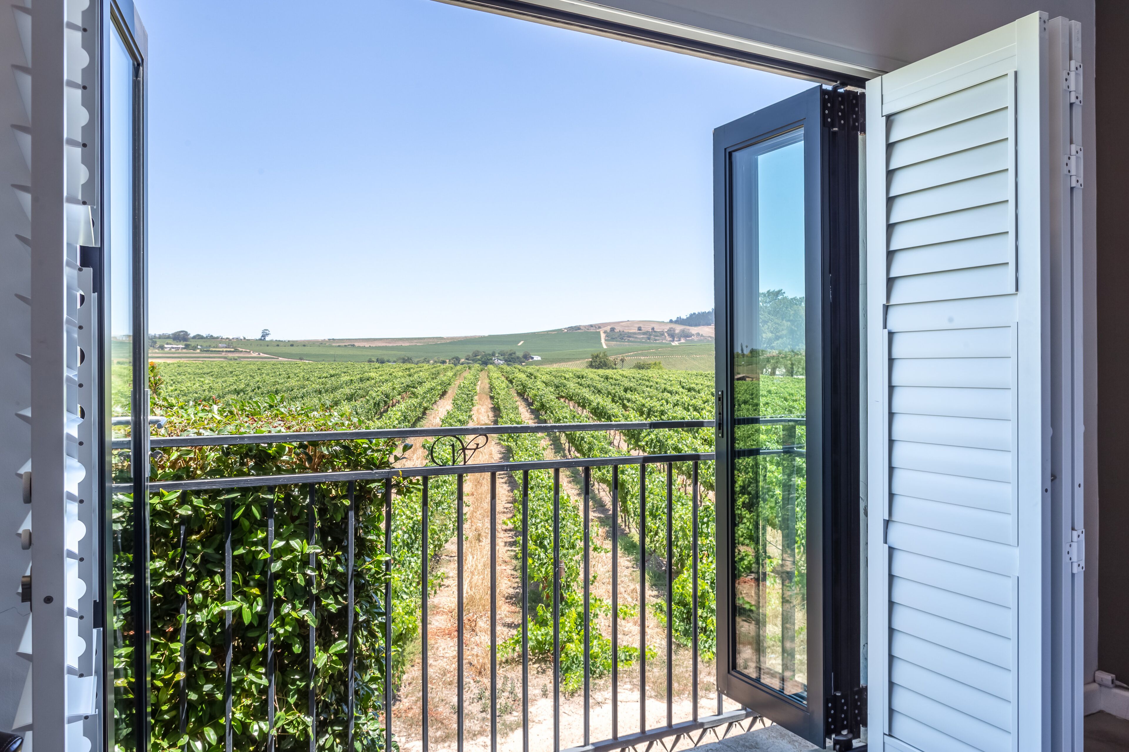 Room (Vineyard) | View from room