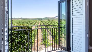Room (Vineyard) | View from room