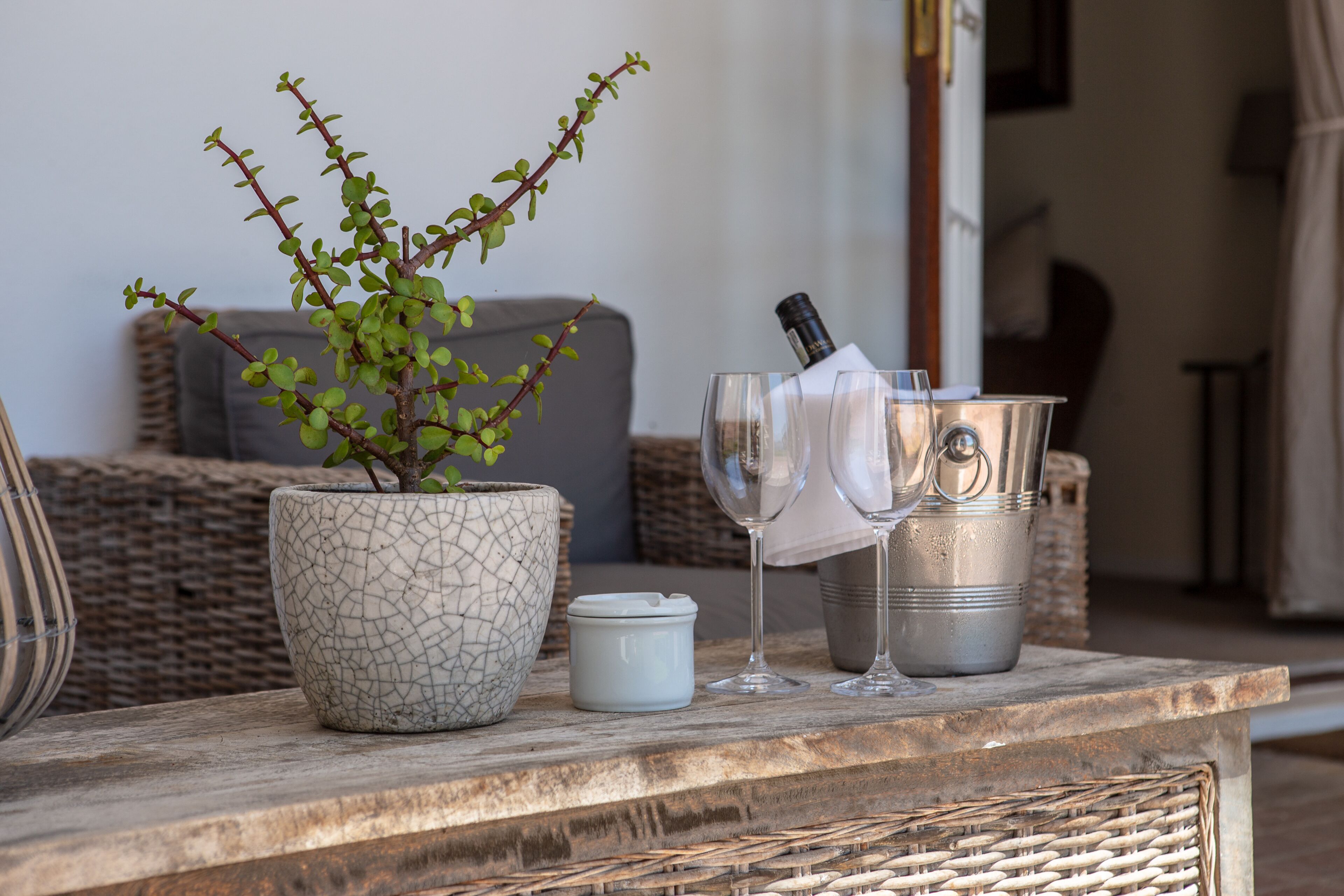 Une table avec une plante en pot, deux verres à vin, une bouteille et un petit récipient.