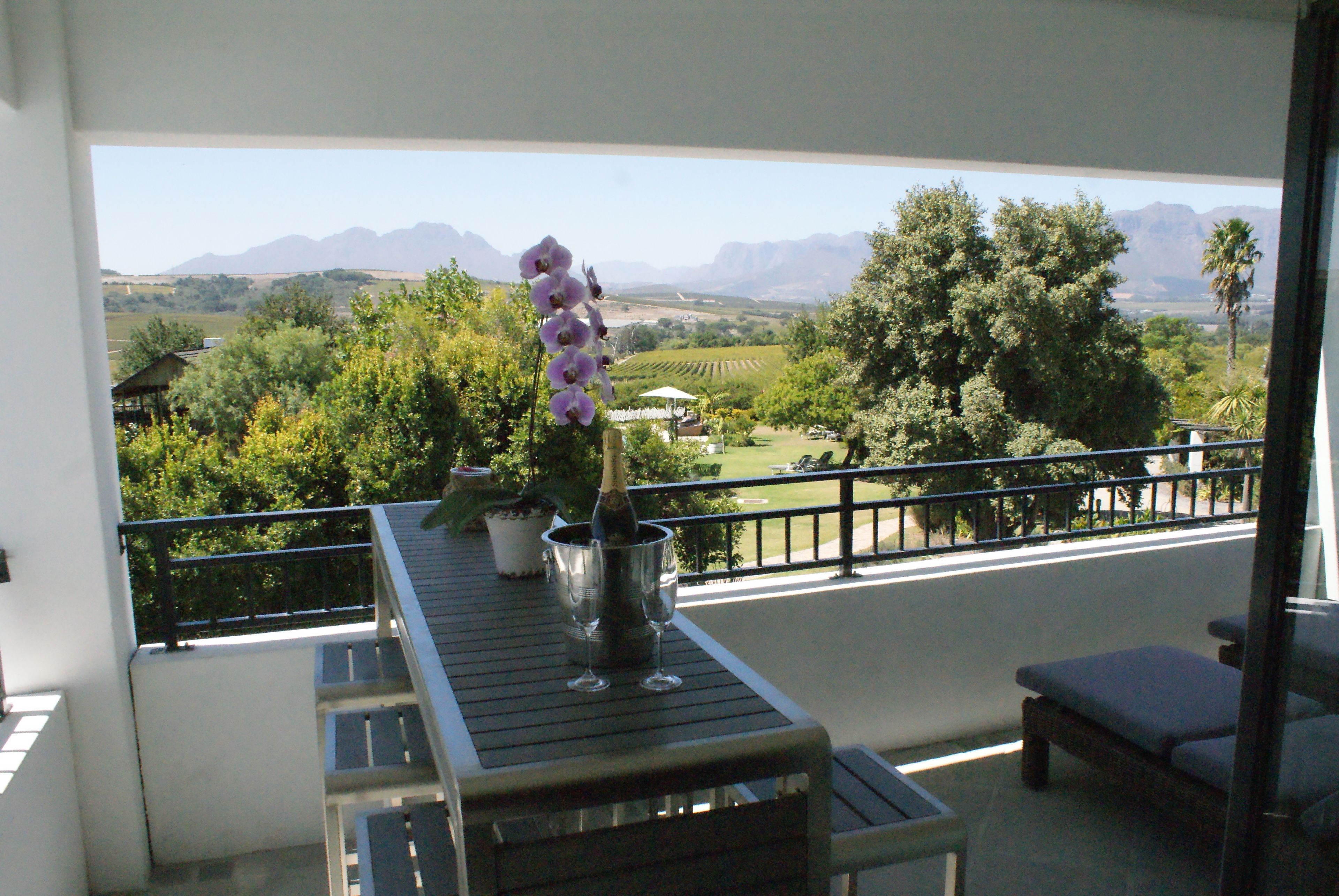 Un balcon avec vue sur un vignoble et des montagnes.