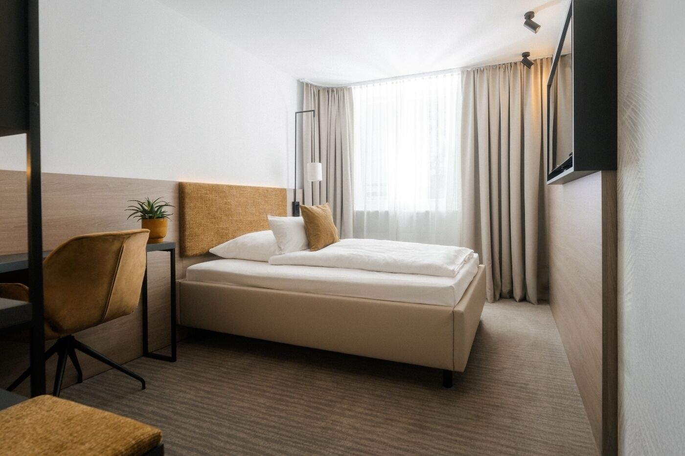 A hotel room with a bed, a desk, a chair, a potted plant, and a TV.